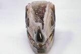 Carved, Amethyst Crystal Geode Dinosaur Skull - Roar! #199471-3